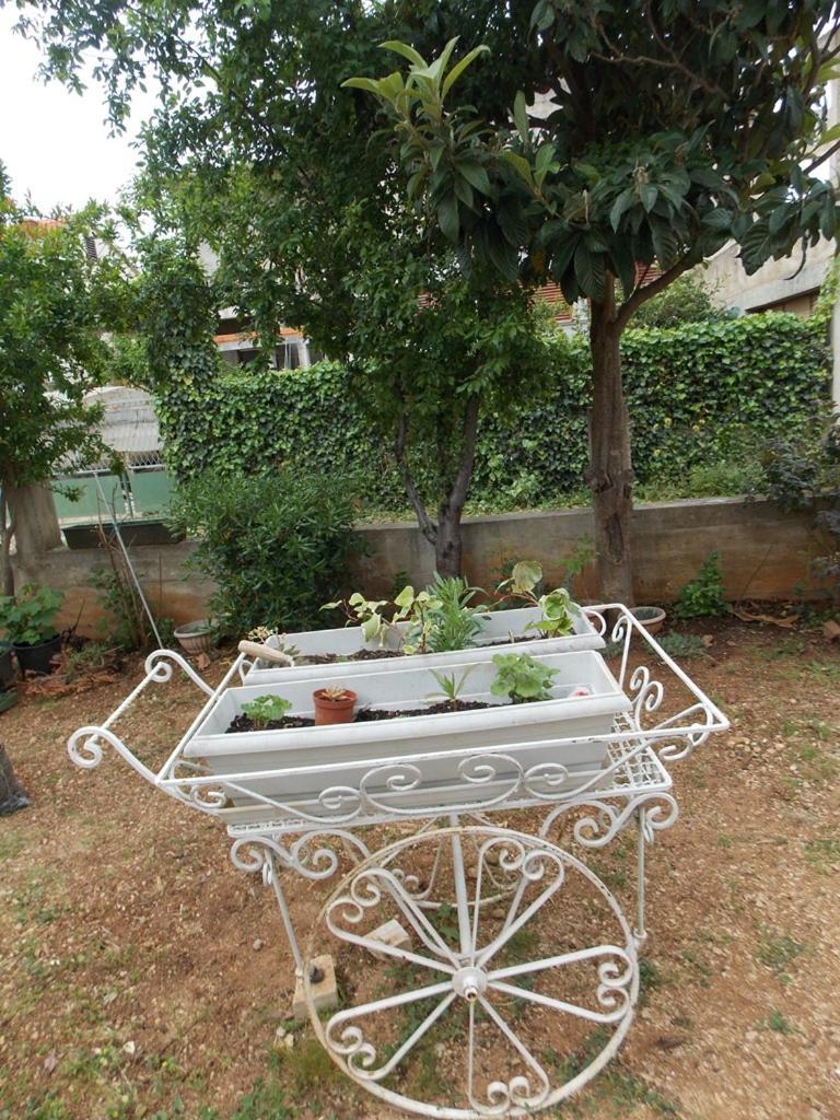 Apartment Ivana Vodice Zewnętrze zdjęcie
